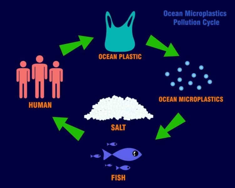 Ciclo microplastiche, Credit iStockphoto.