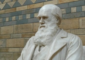 Statua di Charles Darwin, padre della biologia evoluzionistica, Credit Pixabay