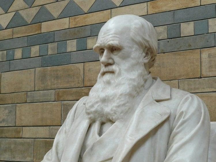 Statua di Charles Darwin, padre della biologia evoluzionistica, Credit Pixabay