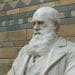 Statua di Charles Darwin, padre della biologia evoluzionistica, Credit Pixabay