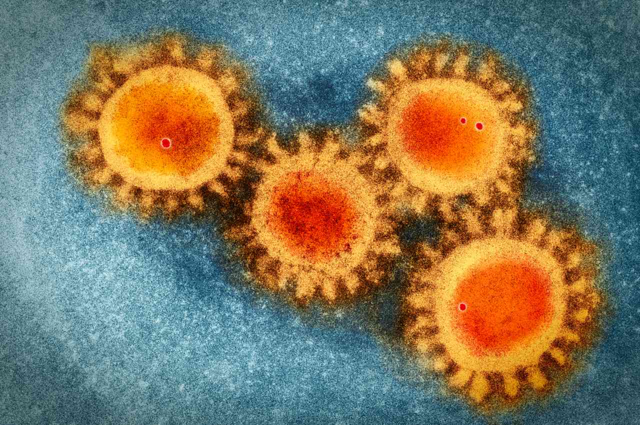 Coronavirus Covid-19, Credits iStockPhoto