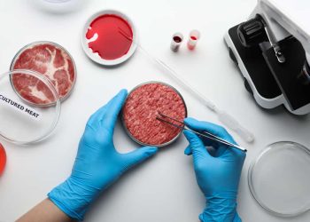 la-carne-sintetica:-cos’e,-come-si-produce-e-il-dibattito-sulla-sua-sostenibilita