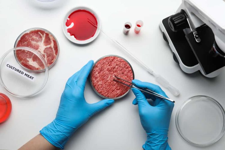 la-carne-sintetica:-cos’e,-come-si-produce-e-il-dibattito-sulla-sua-sostenibilita