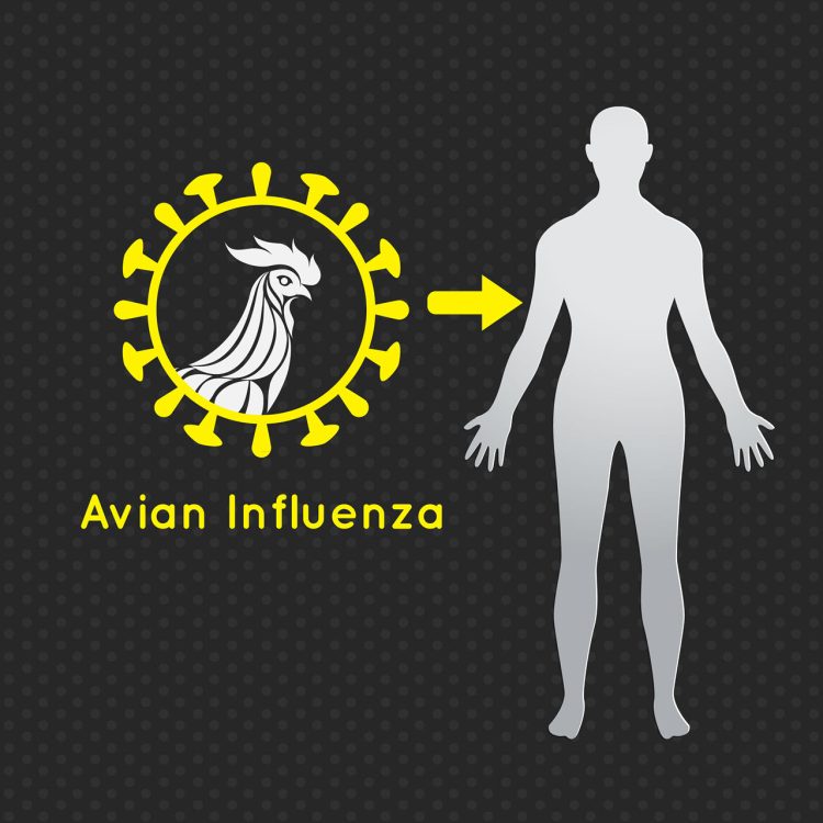 vaccino-contro-l’influenza-aviaria-per-gli-esseri-umani.-stavolta-non-si-vuole-essere-impreparati