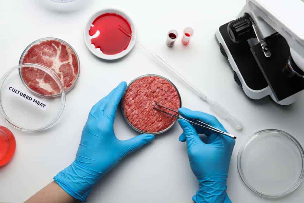 carne sintetica in laboratorio - La carne sintetica: cos'è, come si produce e il dibattito sulla sua sostenibilità